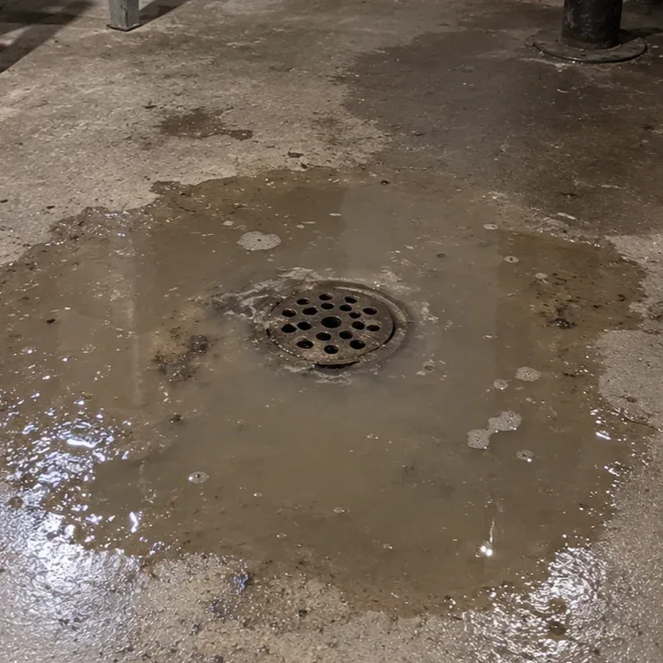 Water backing up around a basement floor drain in an Ottawa home